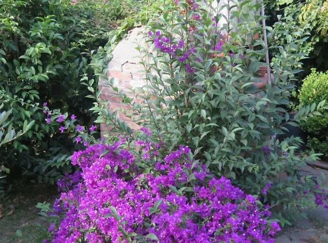 On The Edge Of Town * ローマ