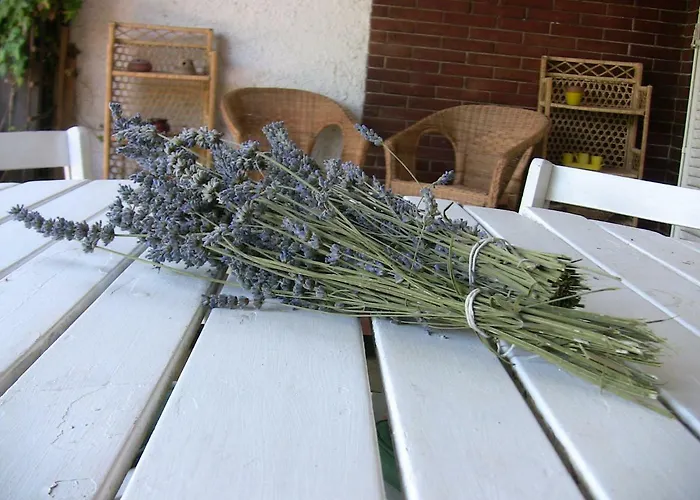 ヴィラ On The Edge Of Town